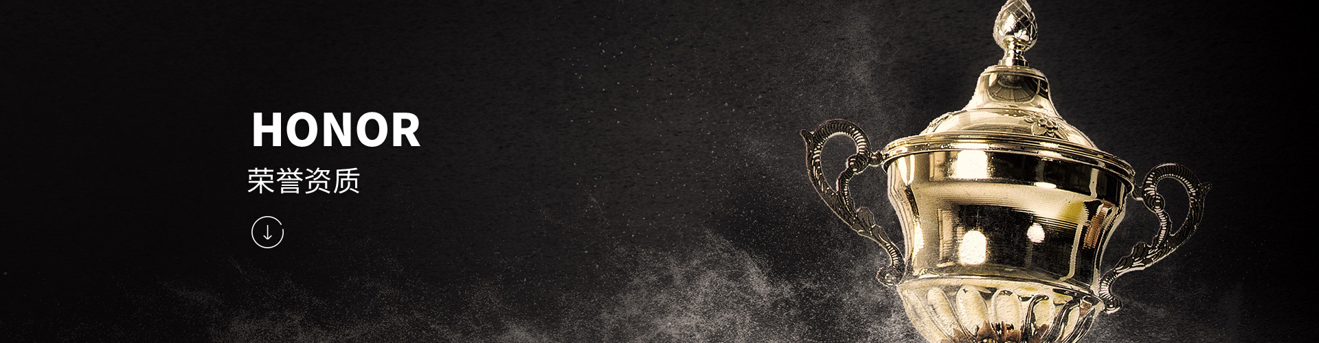 荣誉资质