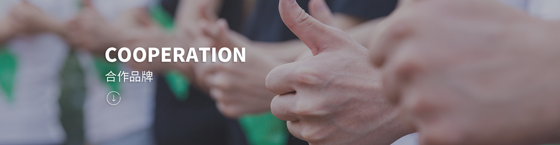 合作品牌